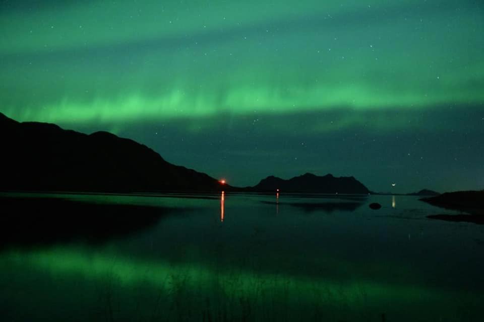 Berg Apartments Svolvær Dış mekan fotoğraf